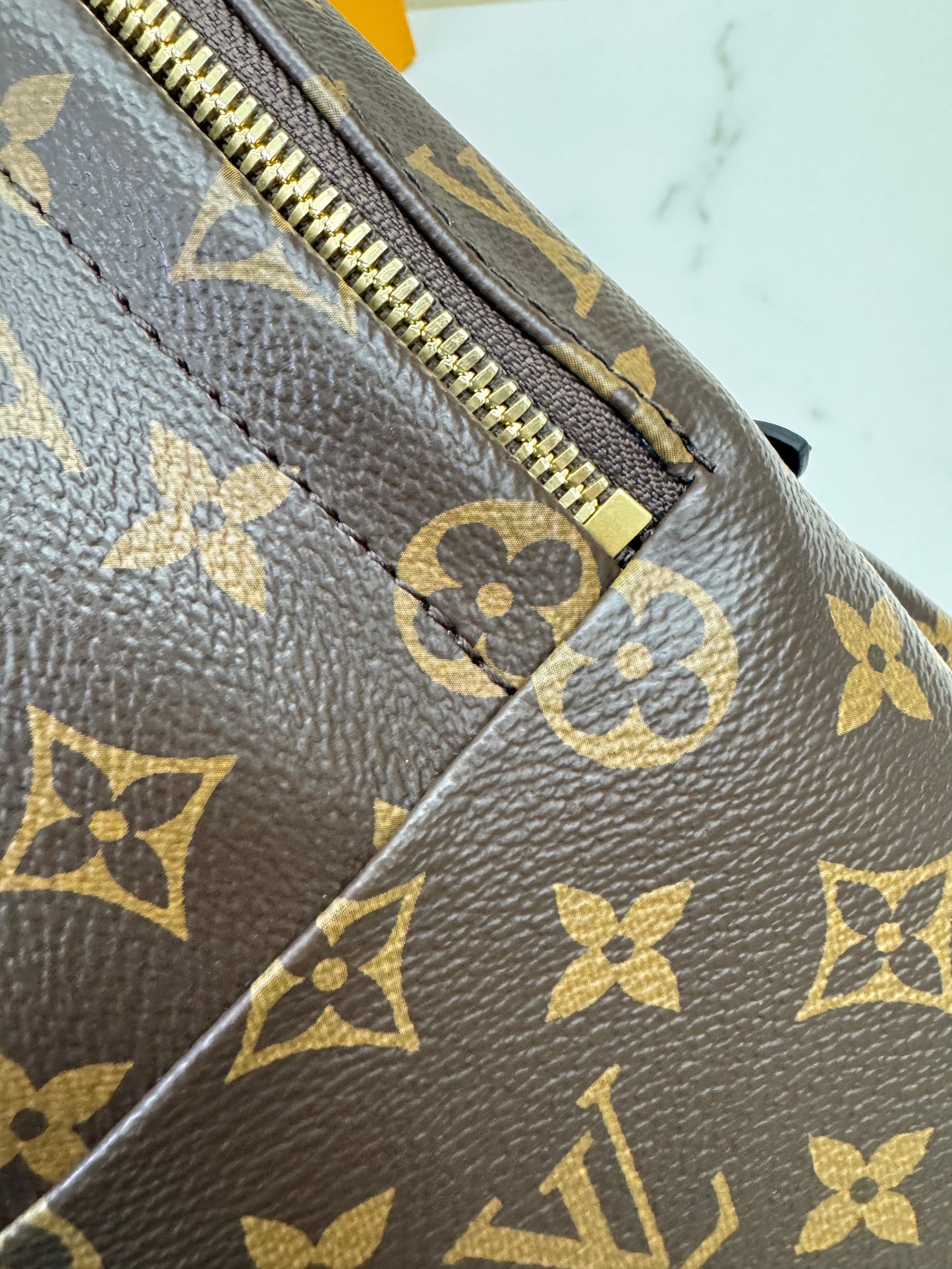 LV Palm Spring Backpack MM