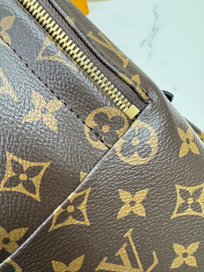 LV Palm Spring Backpack MM