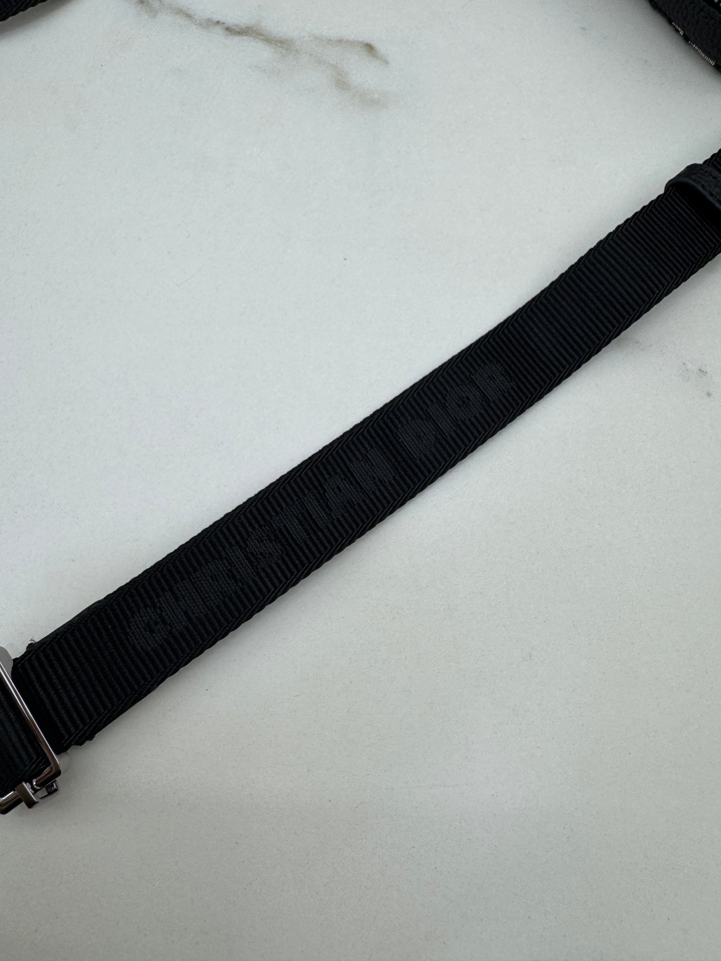 DIOR Zipped Pouch with Strap