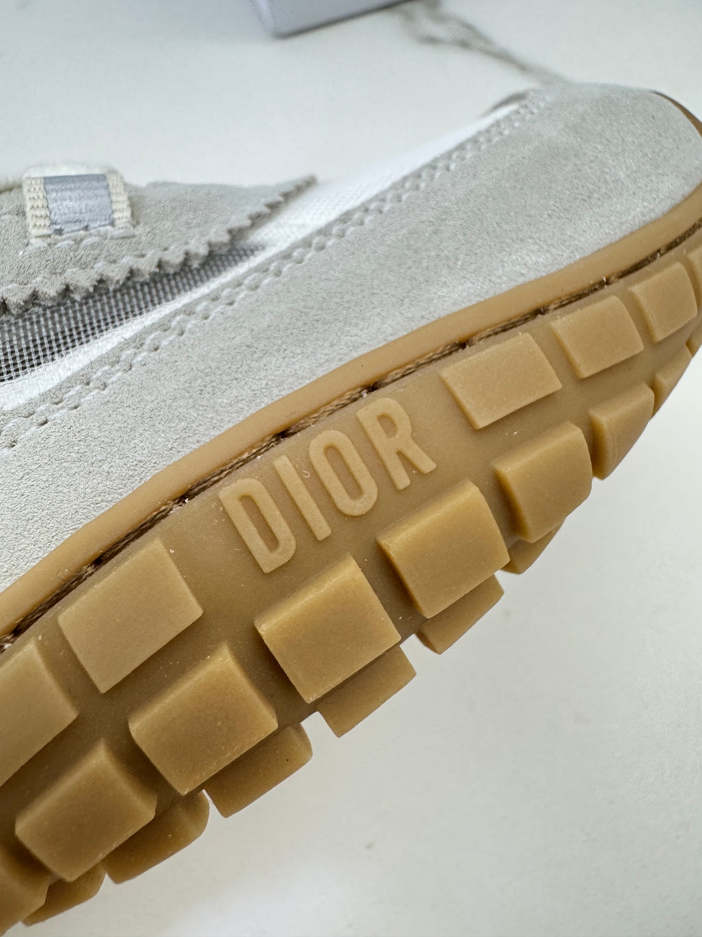 DIOR Tech 網紗運動鞋