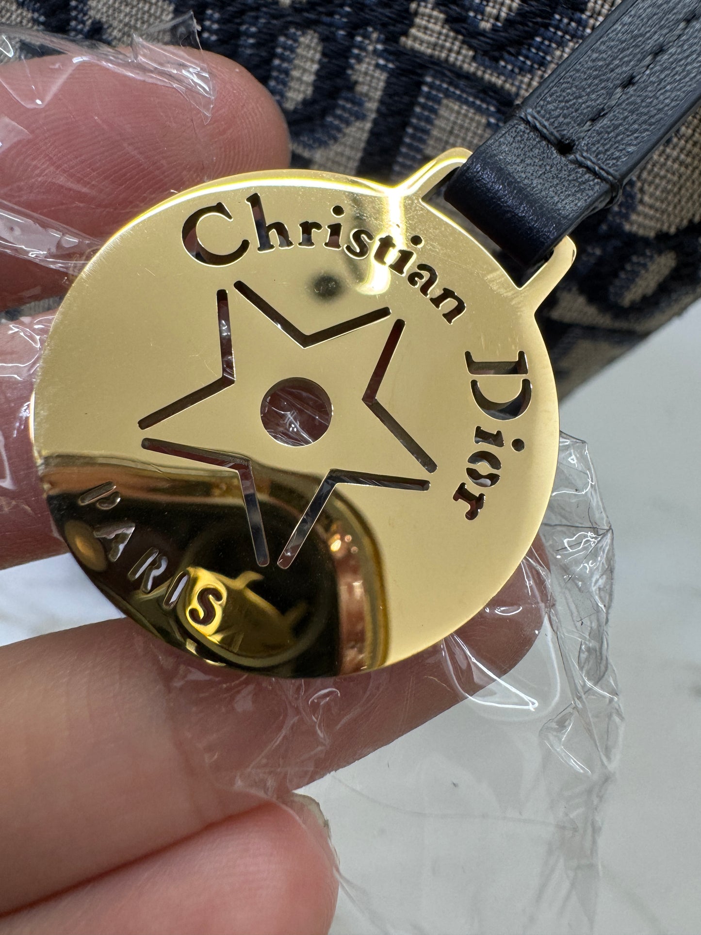 DIOR Diorstar Hobo 飯盒包