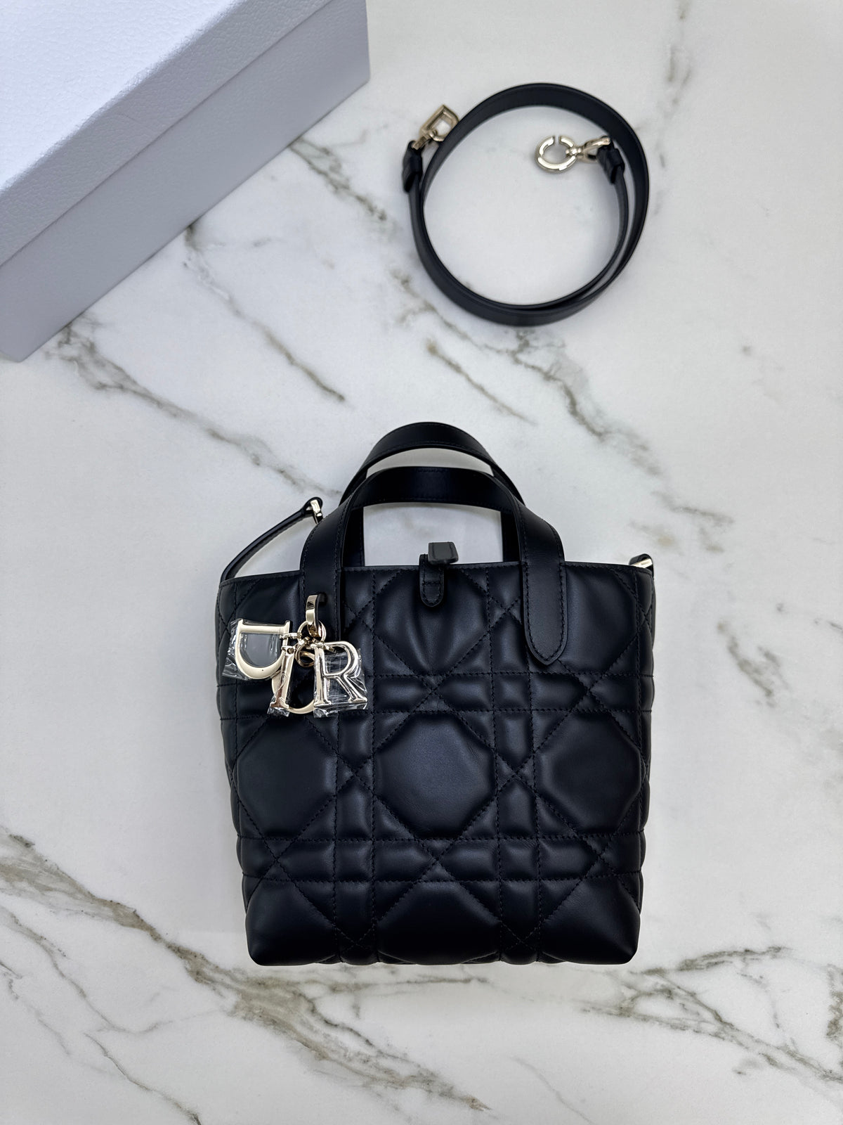 DIOR Toujours Vertical Small Black