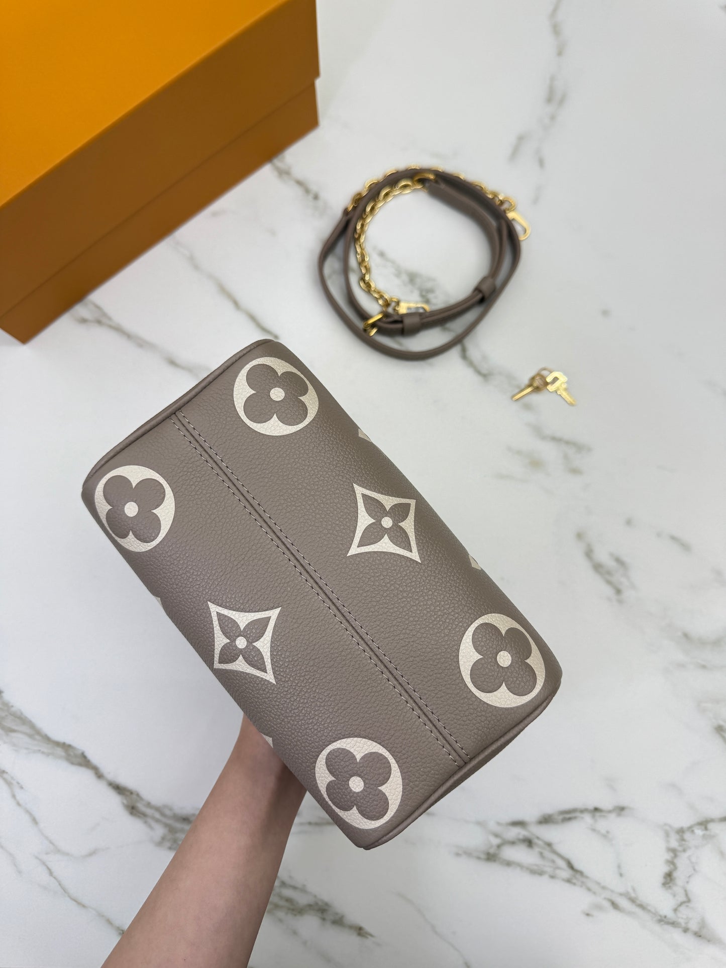 LV Speedy 20 大象灰 M46575