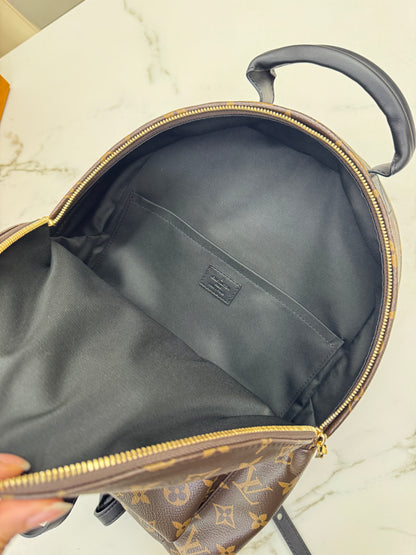 LV Palm Spring Backpack MM