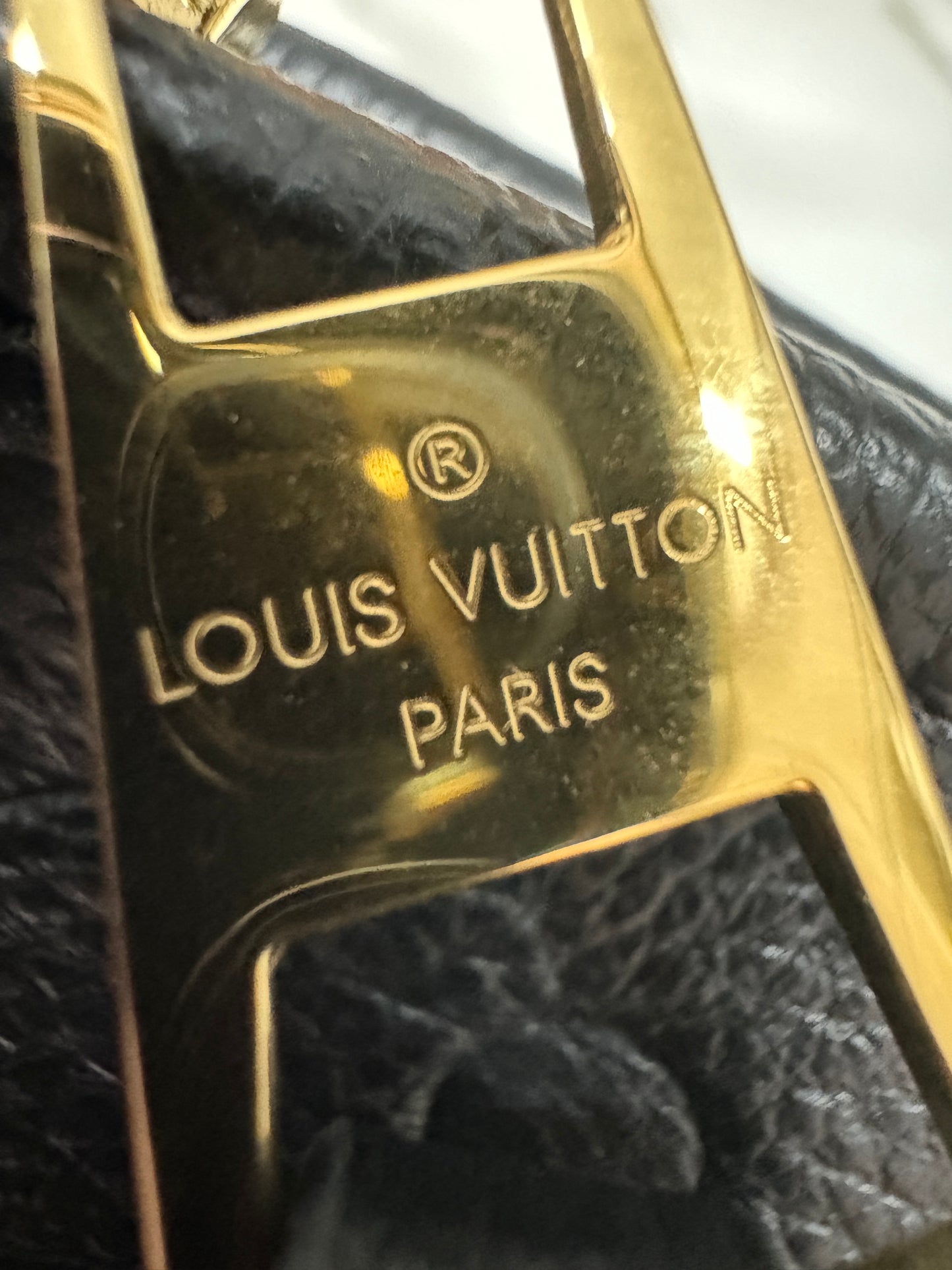 LV Carryall 全皮黑 PM