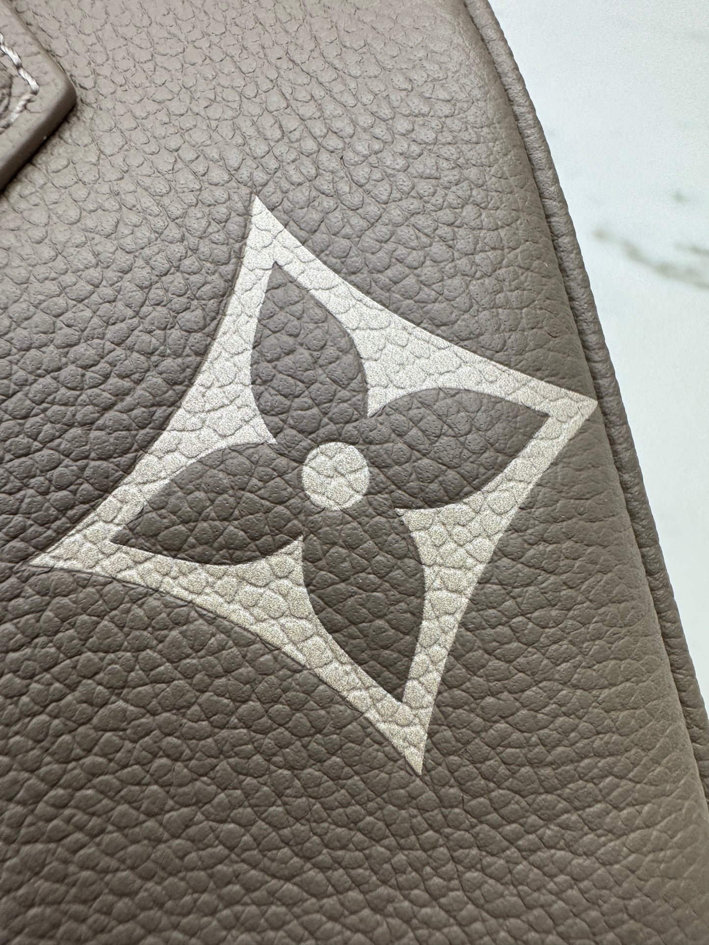 LV Speedy 20 大象灰 M46575