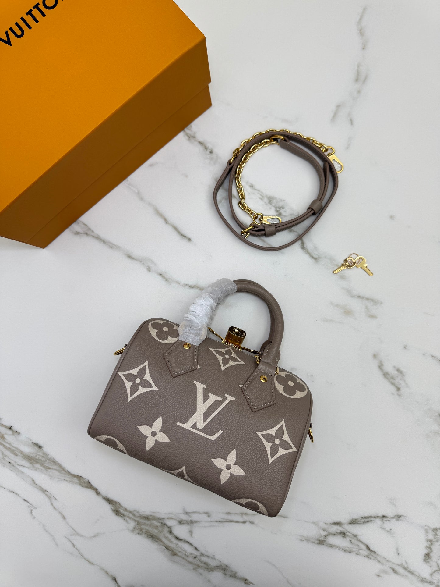 LV Speedy 20 大象灰 M46575