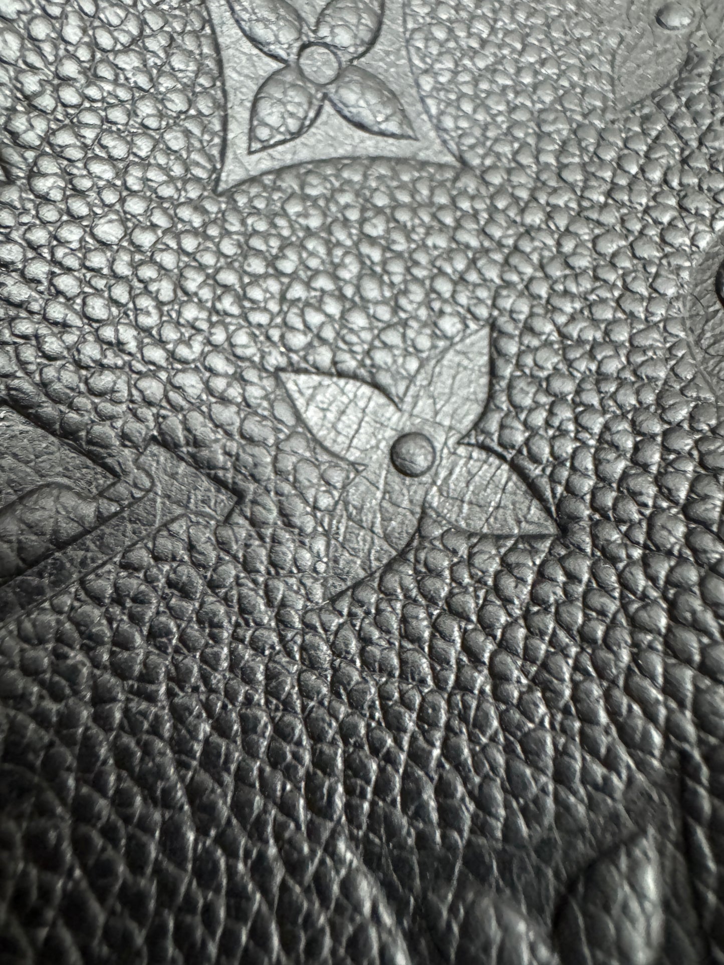 LV Onthego PM 黑色全皮