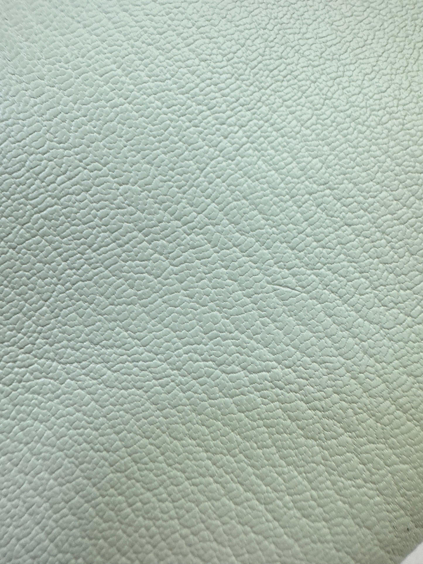 HERMES Mini Bolide 氣泡綠 山羊皮 銀扣 Mysore Vert Fizz PHW