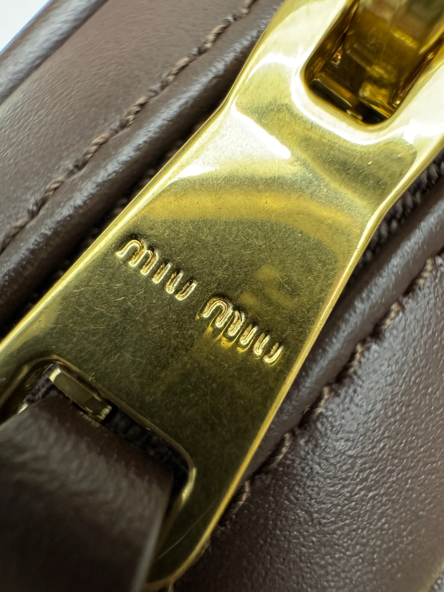 MIU MIU Acardie Regular 石楠木色