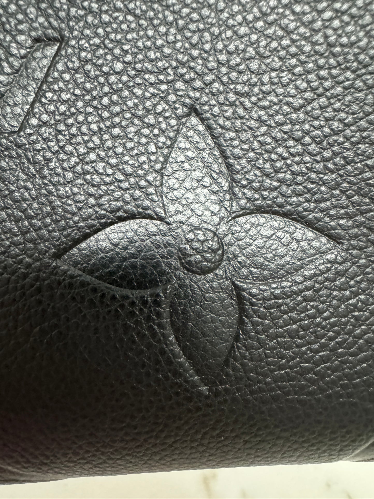 LV Carryall 全皮黑 PM