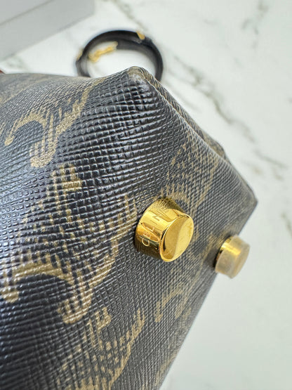 CELINE Teen Nino 老花