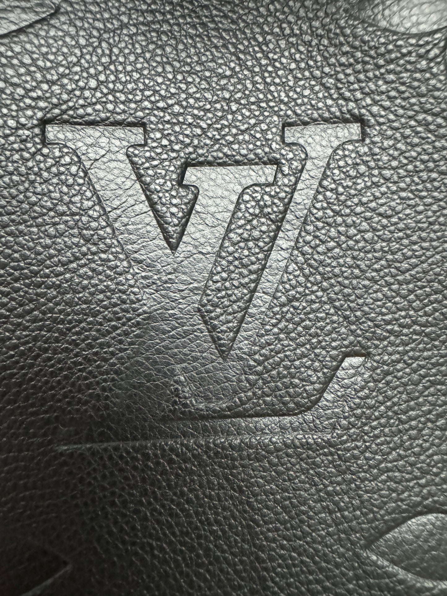 LV Carryall 全皮黑 PM
