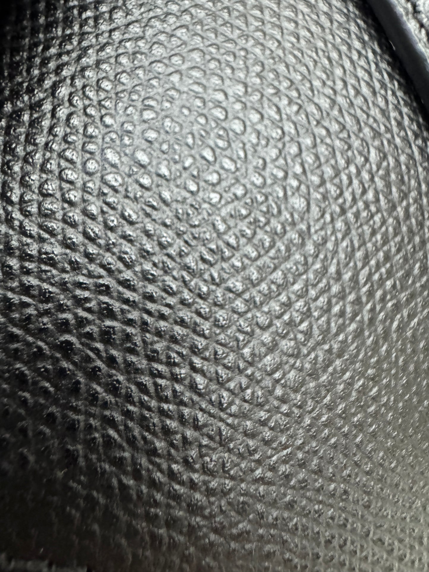 DIOR Saddle Small 黑色掌紋皮 Black Calfskin