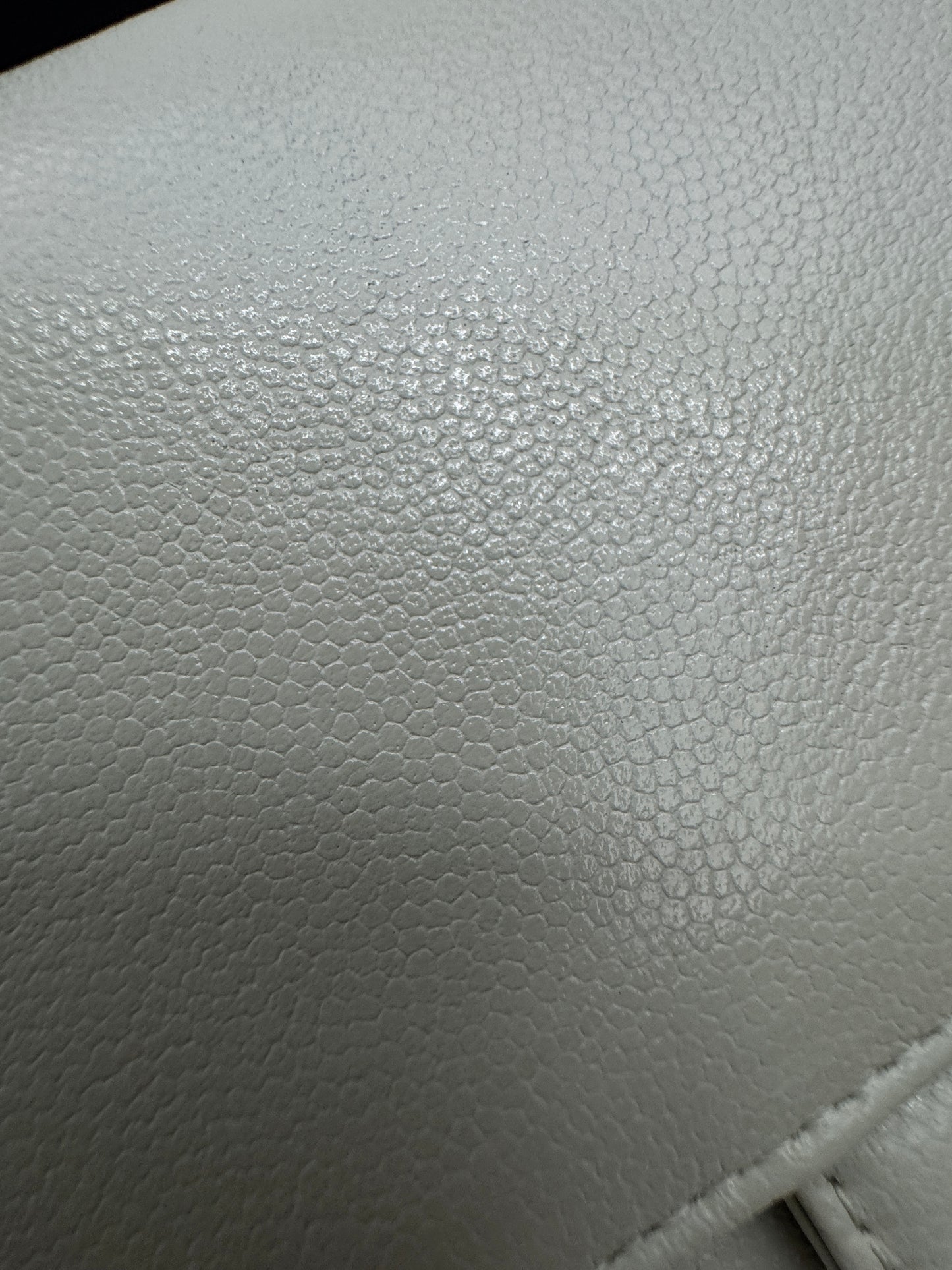 CHANEL Preppy Coco 灰綠色 Small