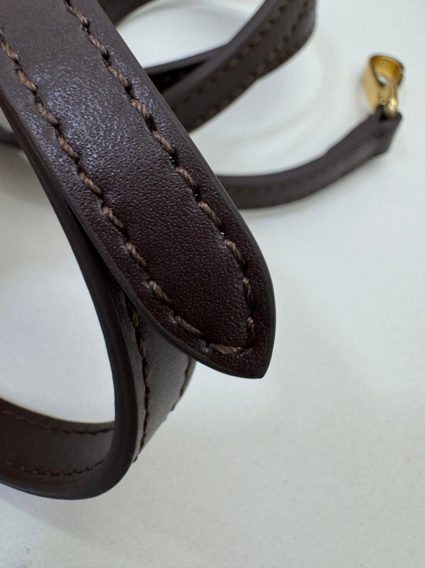 MIU MIU Acardie Regular 石楠木色