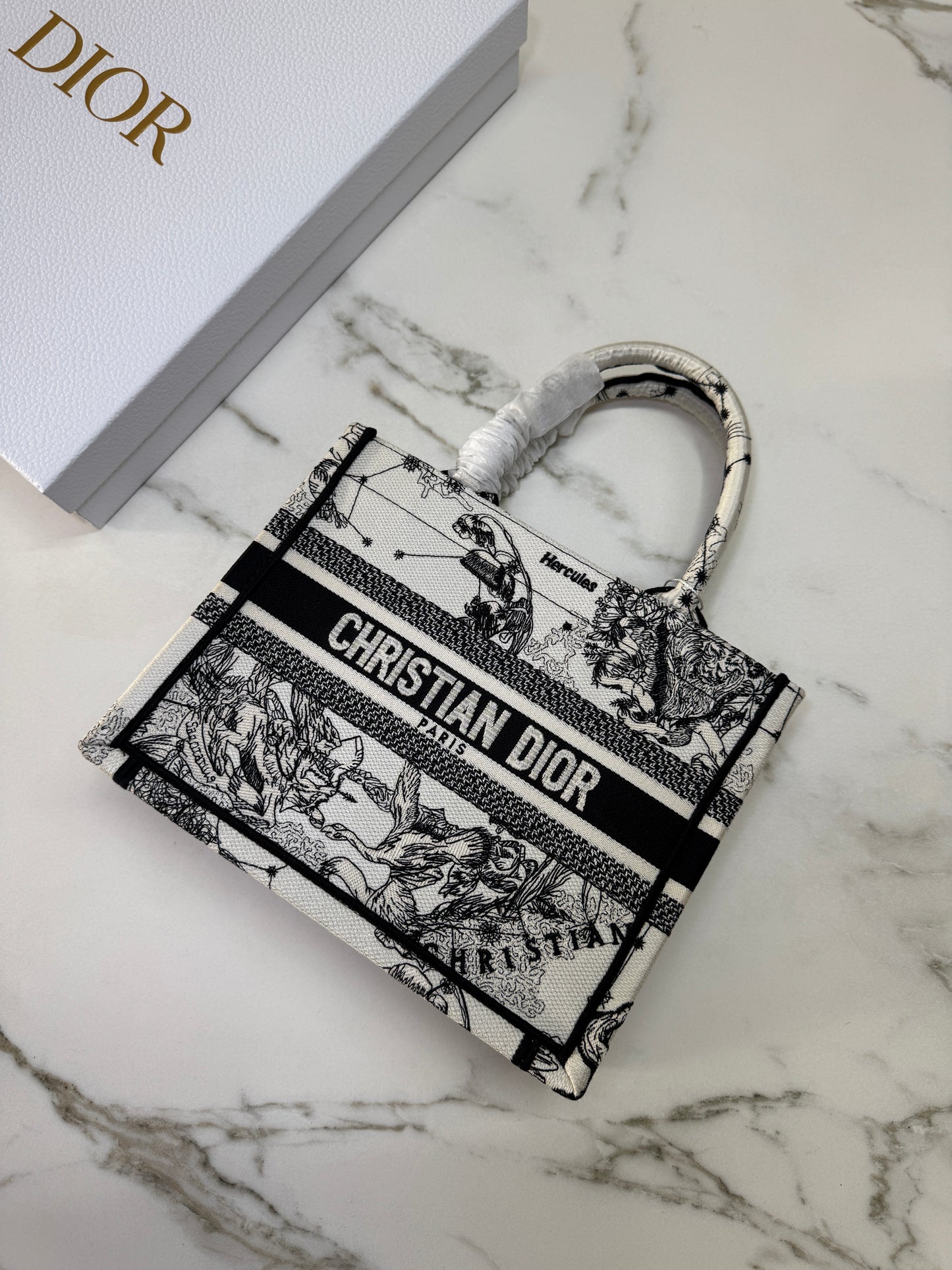 DIOR Book Tote Small 星座系列