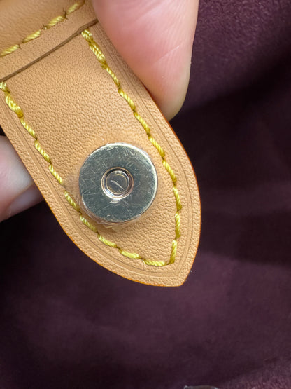 LV Nano Carryall